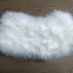 振り袖のショールの画像