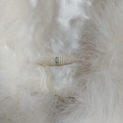 振り袖のショールの画像