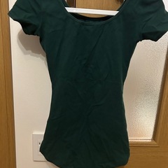 レオタード（カペジオ）の画像