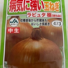 玉ねぎ苗&ガーデンレタスミックス苗の画像