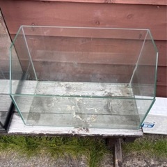 GEX（ジェックス）のフレームレス水槽「グラステリアスリム450」の画像