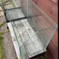 GEX（ジェックス）のフレームレス水槽「グラステリアスリム450」の画像