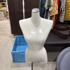 トルソーの画像