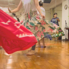 【新規開講】2025年12月スタート！中目黒フラダンス初級クラスの画像