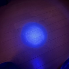 （決定しました）ブラックライトの画像
