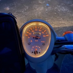 ホンダ AF55 スクーピー 鍵あり 書類あり スクーピー の画像