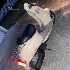 ホンダ AF55 スクーピー 鍵あり 書類あり スクーピー の画像