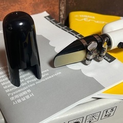 ヤマハ カジュアル管楽器 Venova アルトヴェノーヴァ　新品リード10個付き収納ケース付きの画像