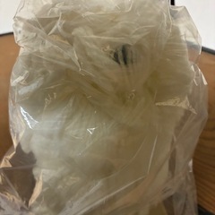 レッスンドッグ PUPPY 107-STの画像