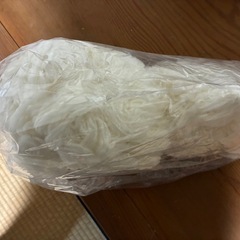 レッスンドッグ PUPPY 107-STの画像