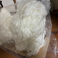 レッスンドッグ PUPPY 107-STの画像