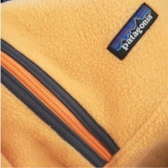 パタゴニア　シンチラの画像