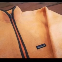 パタゴニア　シンチラの画像