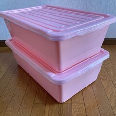 【中古/長期保管品/お引取り限定】■ラッキーコンテナ（L）2個セット■ピンク■Tenma■の画像