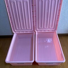【中古/長期保管品/お引取り限定】■ラッキーコンテナ（L）2個セット■ピンク■Tenma■の画像