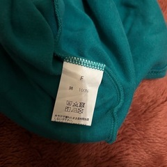 Fサイズカットソーの画像