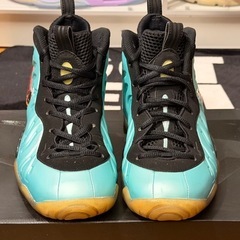 廃盤 ティファニーブルー Nike AIR FOAMPOSITE ポジット 24cm 箱付の画像