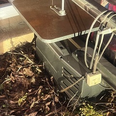 ♡古いいとのこ♡の画像