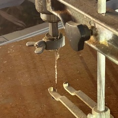 ♡古いいとのこ♡の画像