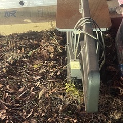 ♡古いいとのこ♡の画像