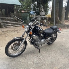 ビラーゴ250 3dmの画像