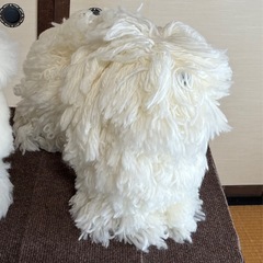 レッスンドッグ PUPPY 107-STの画像