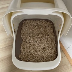 猫トイレの画像