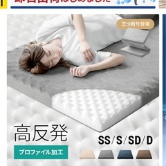 モダンデコ　シングルマットレス　高反発(受付終了)の画像