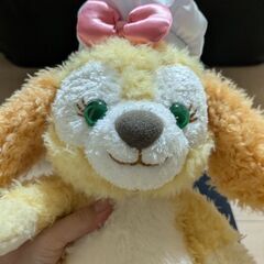 クッキーアンの画像