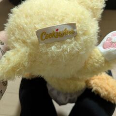 クッキーアンの画像