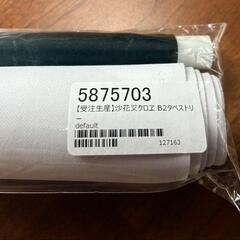 おうち大好きインドア派（岐兎こるた） 沙花叉クロヱ B2タペストリーの画像