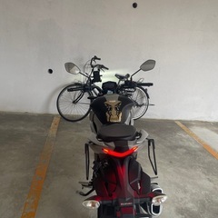 スズキジクサ　250の画像