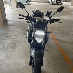 スズキジクサ　250の画像