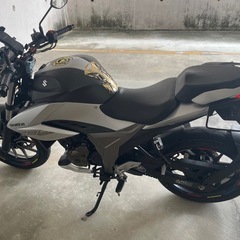 スズキジクサ　250の画像