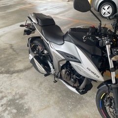 スズキジクサ　250の画像