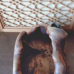 朽ち木　インテリア雑貨（中古）の画像