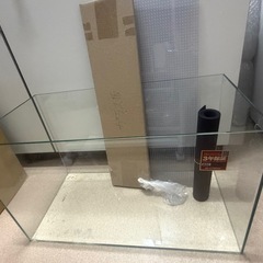 [再投稿]60cmフレームレス水槽の画像