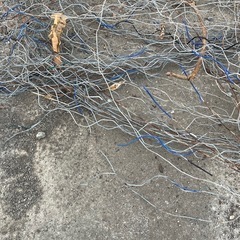 ハウス用スプリングの画像