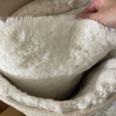 ニトリ、ラグの画像