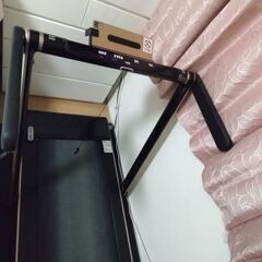 アルインコのフラットジョグですの画像