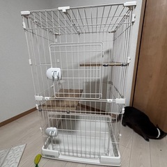 【お取引決定】アイリスオーヤマ 猫 ケージ の画像