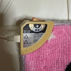 1人用の電気マットの画像