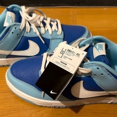 Nike Dunk Low Retro QS "Argon" 28.5cm 新品の画像