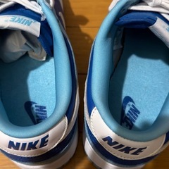 Nike Dunk Low Retro QS "Argon" 28.5cm 新品の画像