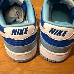 Nike Dunk Low Retro QS "Argon" 28.5cm 新品の画像
