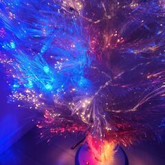 クリスマスツリーの画像