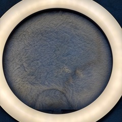 リングライトの画像