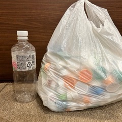 【ペットボトル他キャップ】約1.5kgの画像