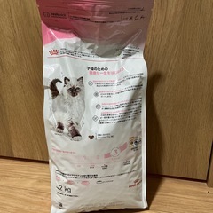 ロイヤルカナン　子猫用の画像