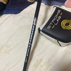 オデッセイパターの画像